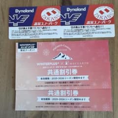 高鷲スノーパーク　ダイナランド 2025-2026シーズンリフト1日券　大人2枚のサムネイル