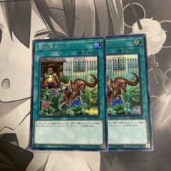 遊戯王　隣の芝刈り　シークレット　二枚セットのサムネイル