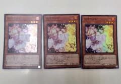 遊戯王 灰流うらら スーパー×3枚のサムネイル