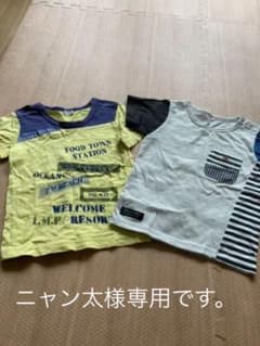 Tシャツ 100のサムネイル