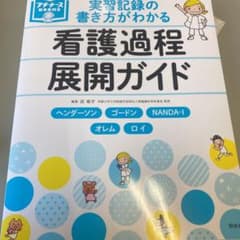 実習記録の書き方がわかる 看護過程展開ガイド ヘンダーソン、ゴードン、NAND…のサムネイル