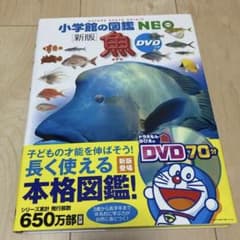 小学館の図鑑NEO 新版 魚 DVDのサムネイル