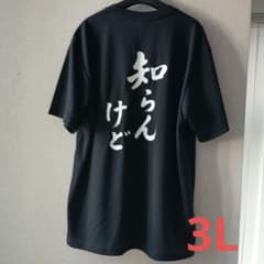 「知らんけど」3L 黒 半袖 おもしろTシャツ 速乾ドライメッシュ 大きめサイズのサムネイル