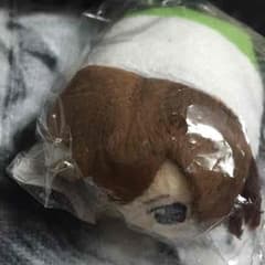 ゴールデンボンバー コロコロのサムネイル
