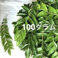 新鮮なカレーリーフ100グラムのサムネイル
