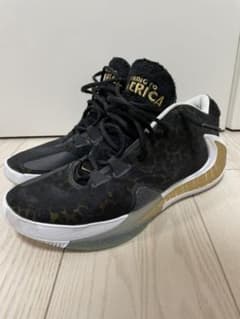 NIKE zoom freak1   ナイキ ズーム フリーク1のサムネイル