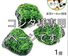 コンタ様専用ページです。のサムネイル