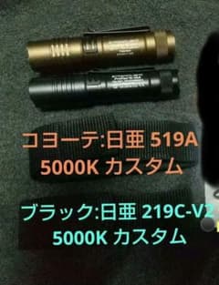 protac 519a 219c-V2 カスタム 2本 protac 519a 219c-V2 カスタム 2本 - メルカリ