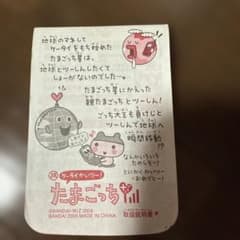 m45632431781_1.jpg?1766657870