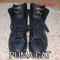 今季☆送料込!!PUMAハイカットスニーカー☆のサムネイル