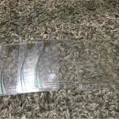 専用のサムネイル