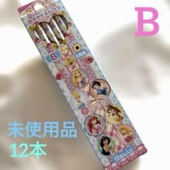 디즈니 프린세스 연필 B 가키카타 엔피츠 12개 1 다스