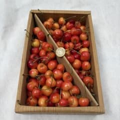 10本日収穫　山形県産　さくらんぼ　1kg 紅秀峰　Lサイズ以上　訳あり品のサムネイル