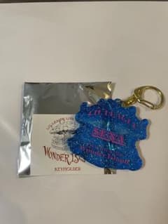 LILLEAGUE Wonder Island 이와키 세이나 키홀더