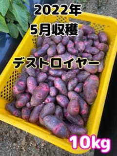 じゃがいも　デストロイヤー　10kgのサムネイル