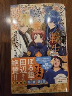 シンデレラの義理姉に転生したけどふたりの王子に溺愛されています 2のサムネイル