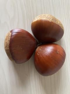 新鮮な栗 1.9kg 自然農法　無農薬のサムネイル