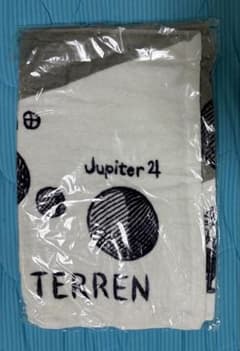 LAMP IN TERREN タオルのサムネイル