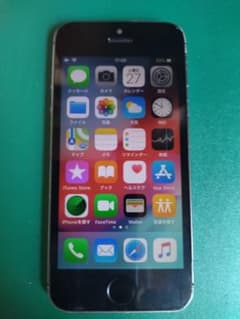 iPhone 5s ジャンク扱いでのサムネイル