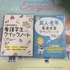 成人・老年看護実習クイックノートのサムネイル