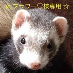 フラワー♡様専用！のサムネイル