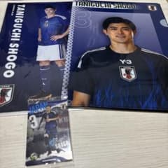 サッカー日本代表　谷口彰悟のサムネイル