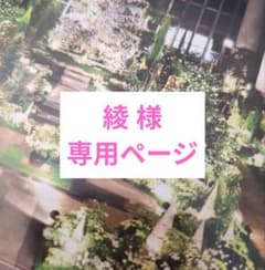綾様 リクエスト 2点 まとめ商品 - メルカリ