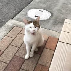 亮 様専用のサムネイル