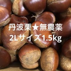 【無農薬★丹波栗】2Lサイズ1.5kgのサムネイル