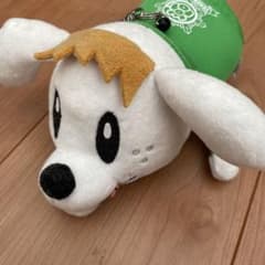 佐野玲於 パスケースのサムネイル