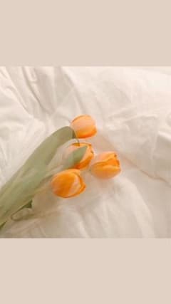 みほちゃん専用☺︎のサムネイル