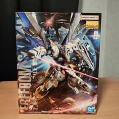 MG 프리덤 건담 Ver.2.0