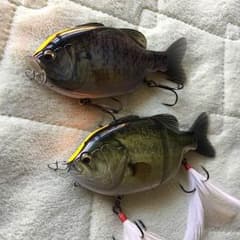 チャンピオンさん専用のサムネイル