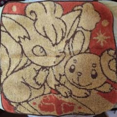 ポケモン ほんわかぽかぽか ハンドタオル