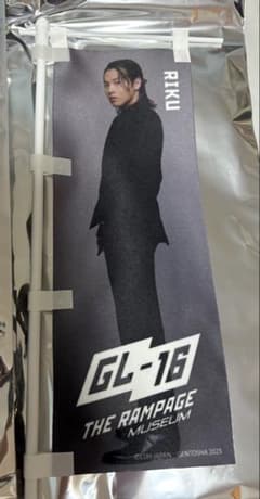 BABYMETAL まとめ売り フラッグ 赤子金属 扇子 ピック コインケース