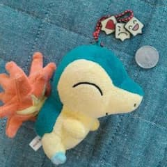 ポケモンセンター  ヒノアラシのぬいぐるみ！のサムネイル