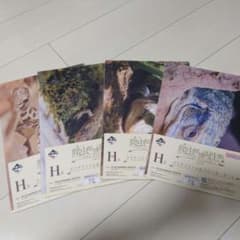 一番くじ 爬虫類と両生類 vol.3 H賞 クリアファイル＆ステッカーのサムネイル
