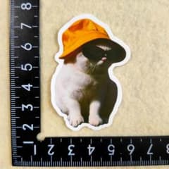 스티커 [쿠81] 고양이 고양이 고양이 유치원 모자 선글라스 슈르 흰 고양이