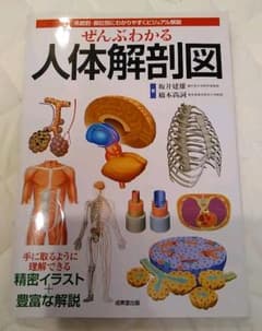 ぜんぶわかる人体解剖図 系統別・部位別にわかりやすくビジュアル解説のサムネイル