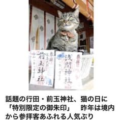 ［限定］埼玉県前玉神社 浅間神社猫の日限定御朱印セットのサムネイル