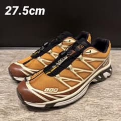 希少】Salomon S/LAB XT-6 ENDコラボ 27.5cm - メルカリ