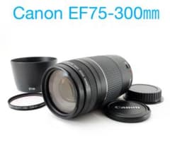 大迫力超望遠/Canon純正 75-300mm III型 超望遠レンズ - メルカリ
