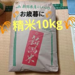 新潟県上越市大島区産 令和8年産 こしいぶき 精米 10kgのサムネイル