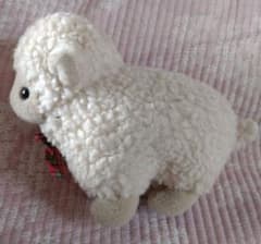 m45700861009_1.jpg?1748306943