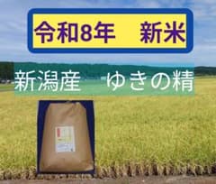 令和8年 新潟産 ゆきの精 玄米20kgのサムネイル