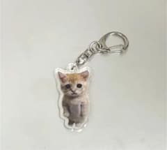 【訳あり‼︎】セット購入OK  猫ミームキーホルダー　ストラップ　人気　バナナ猫のサムネイル