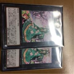 森羅の姫芽宮のサムネイル