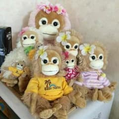 サルちゃん全員 里親募集のサムネイル