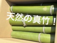 真竹 30cm 6本 工作 天然青竹 無農薬 ハンドメイド 門松 正月 ③