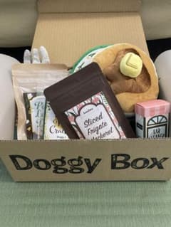 ドギーボックス 小型犬用 4月号のサムネイル